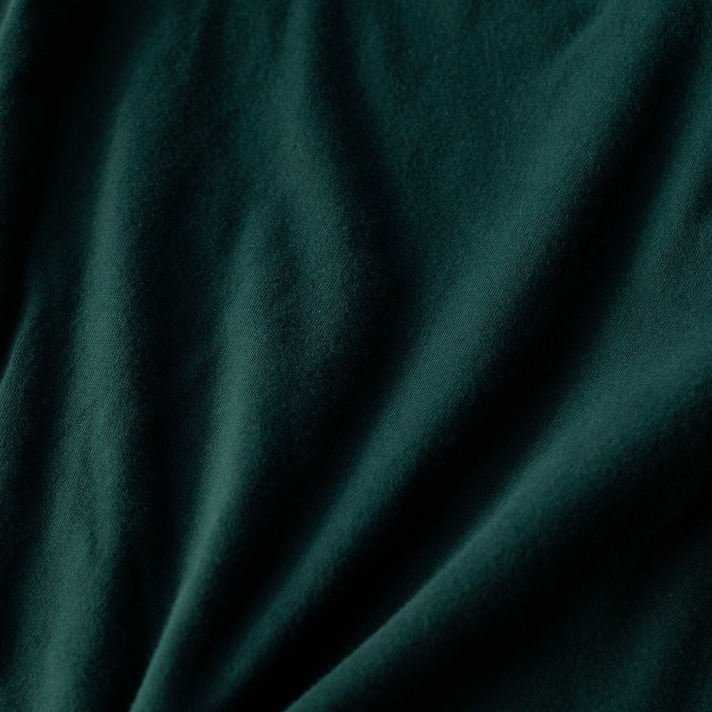 Forest Green Tall Round Hem Crew Neck T-Shirt