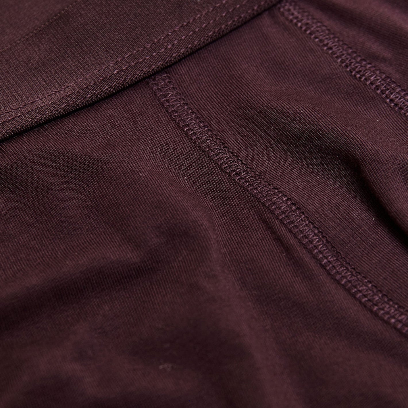 Purple Boxer Brief