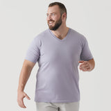 Lilac Gray Classic V-Neck