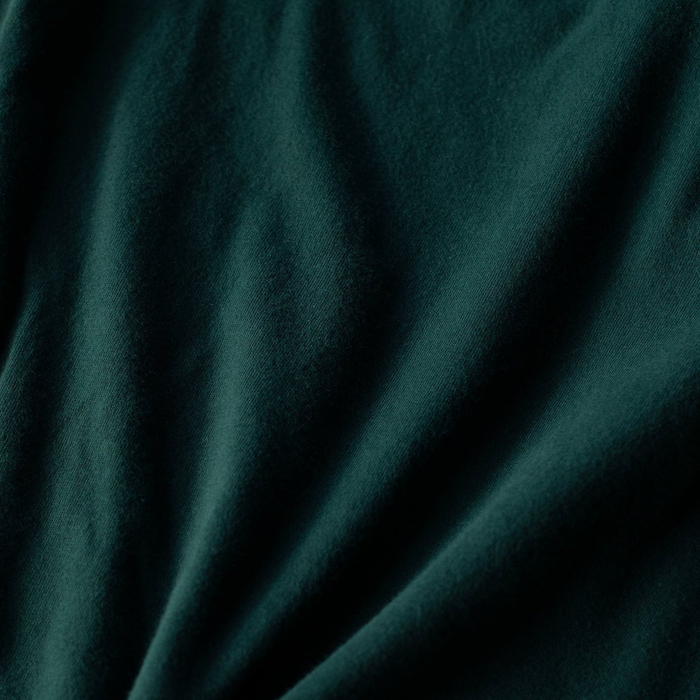 Forest Green Tall Round Hem Crew Neck T-Shirt